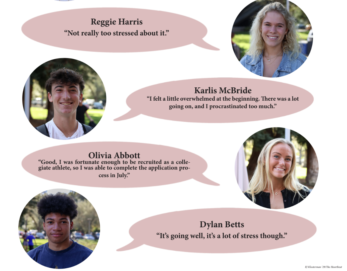 Seniors were asked how they were feeling about the college applications process.